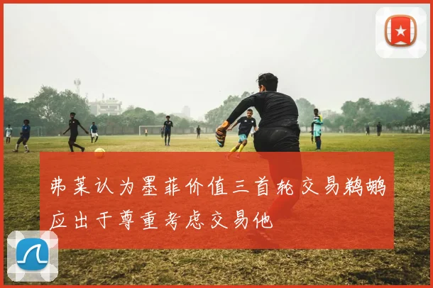 弗莱认为墨菲价值三首轮交易鹈鹕应出于尊重考虑交易他